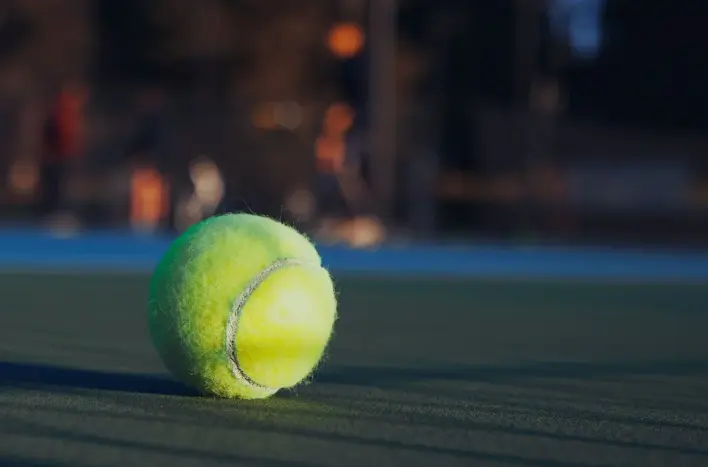 Table Tennis Ping Pong Balls