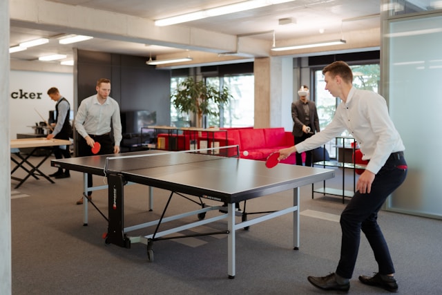 Stiga Shaker Heights Table Tennis