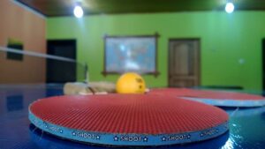 Magical Table Tennis