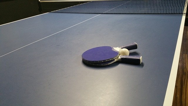 How to Pick a Professional Ping Pong Paddle